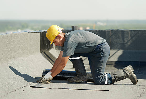 Best Insulation Maintenance and Repair in St James, MN
