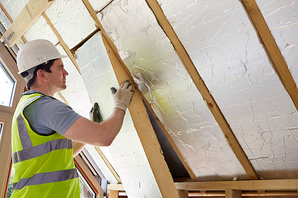 Best Insulation Maintenance and Repair in St James, MN